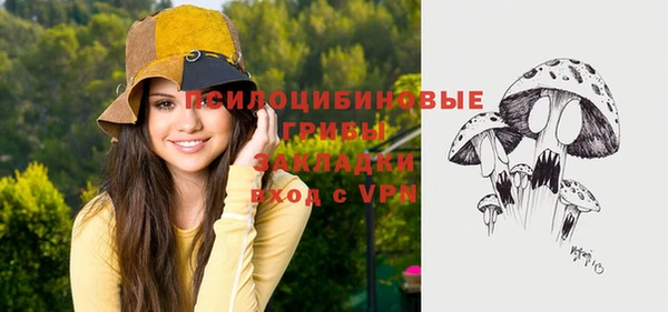 MDMA Premium VHQ Аркадак